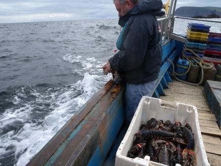 Handling the Catch